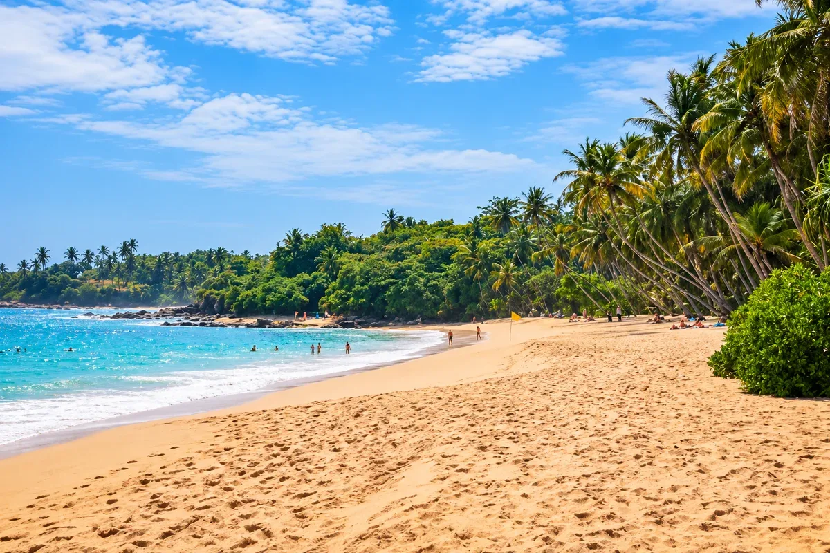 A sandy beach lined with palm trees beside clear blue water