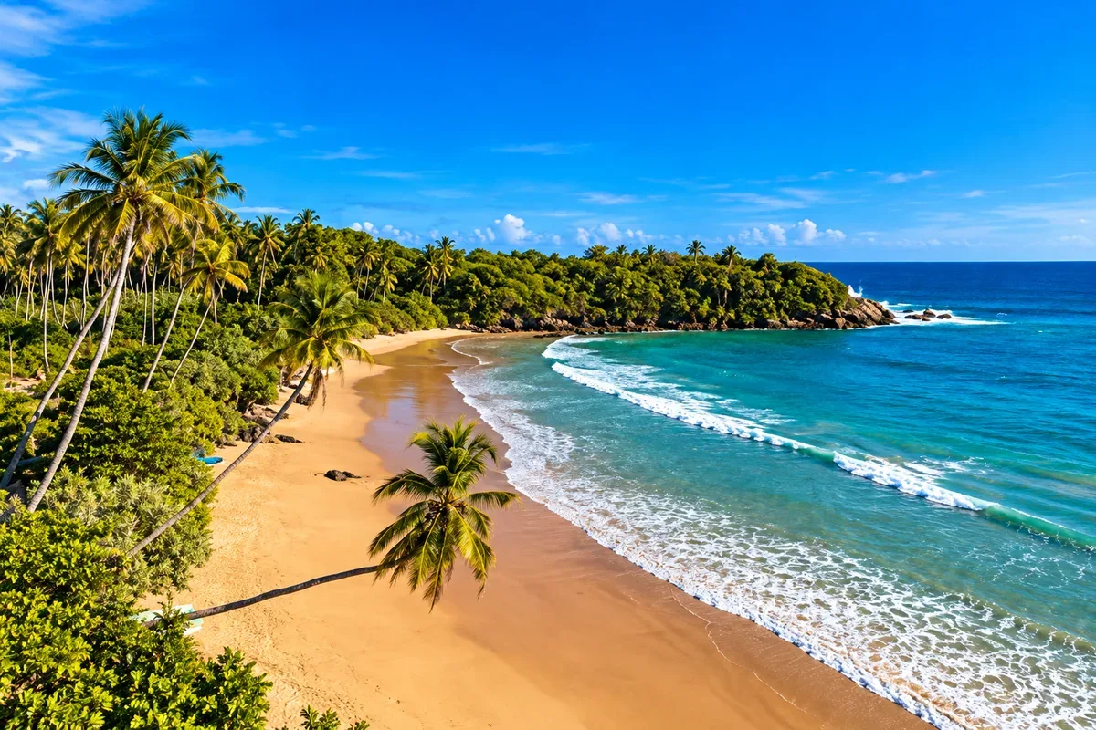 A sandy bay near Tangalle bordered by coconut palms and blue ocean