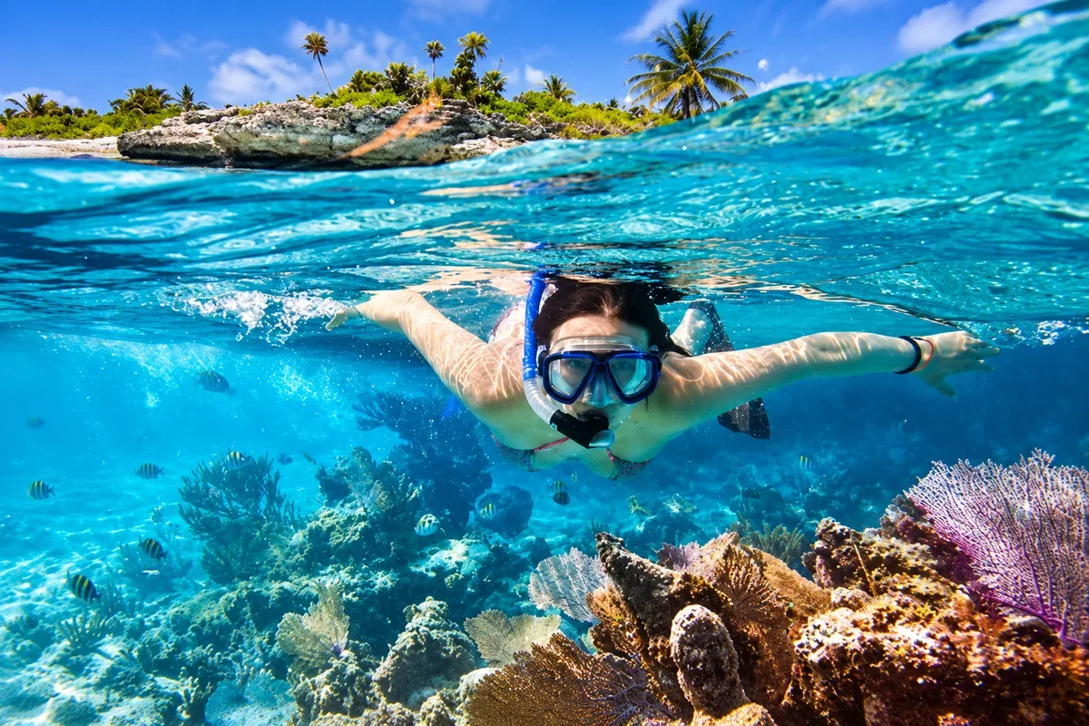A snorkeller swimming above coral and tropical fish in clear blue water