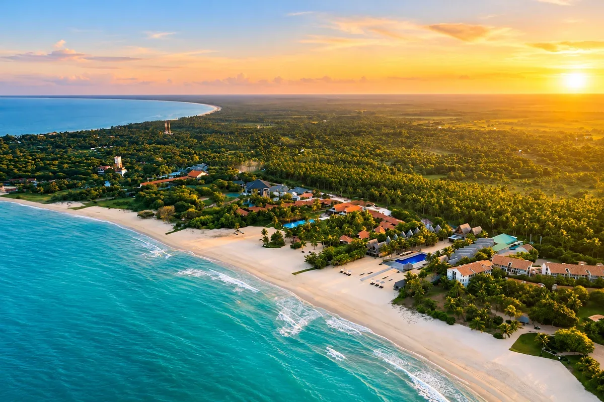 Aerial view of a sandy coastline with beachside buildings and palm trees in golden light