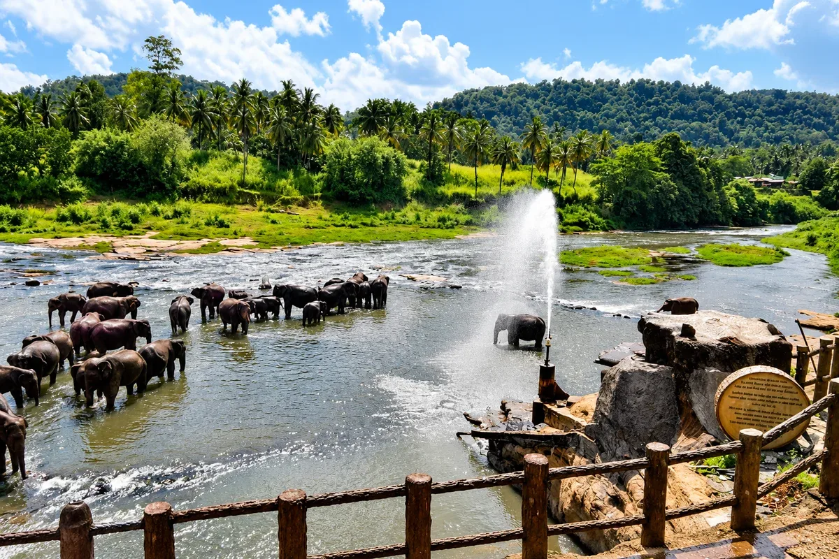 A herd of elephants standing in a river bordered by palm trees and green hills
