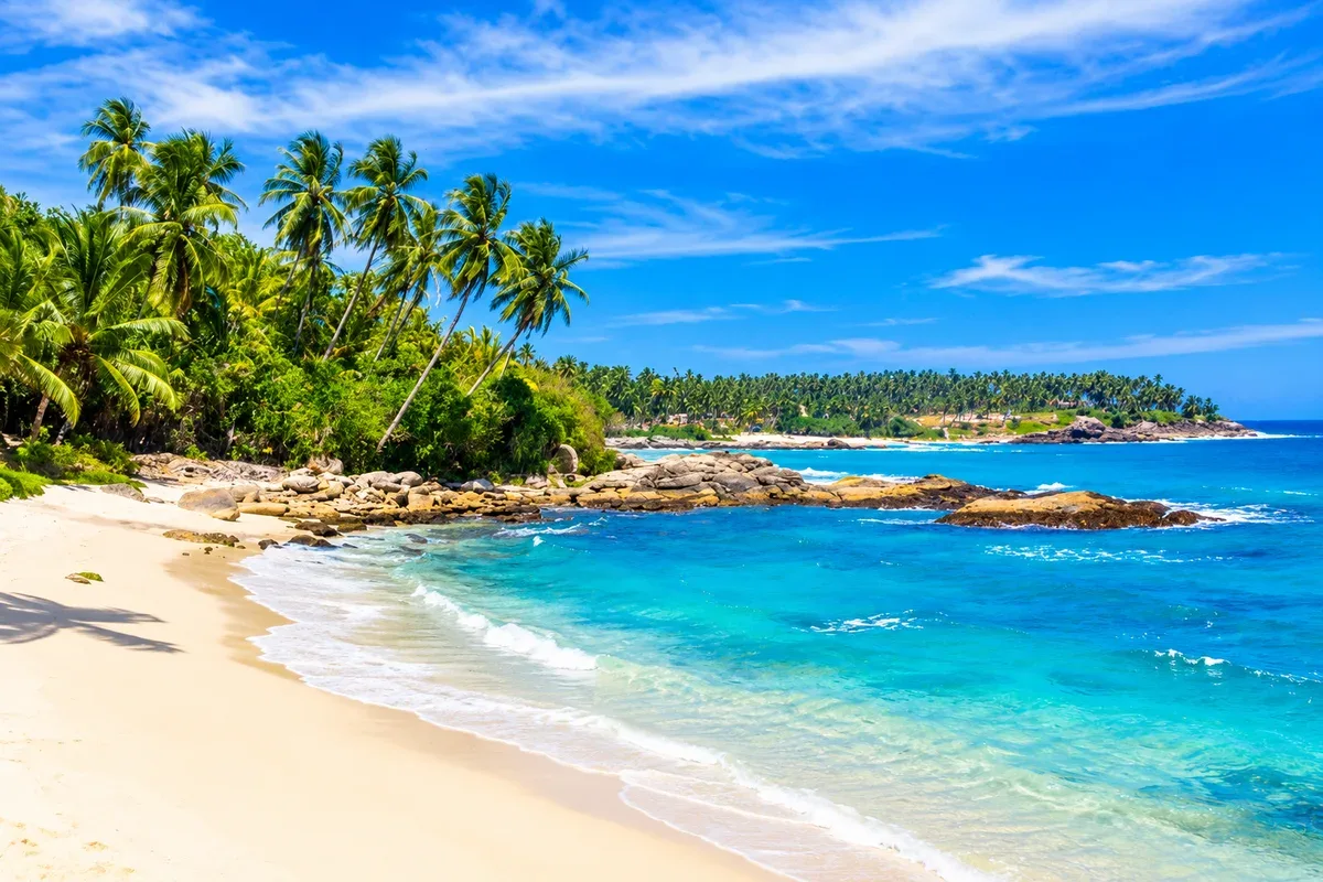 A sandy beach with palm trees, coastal rocks and blue water