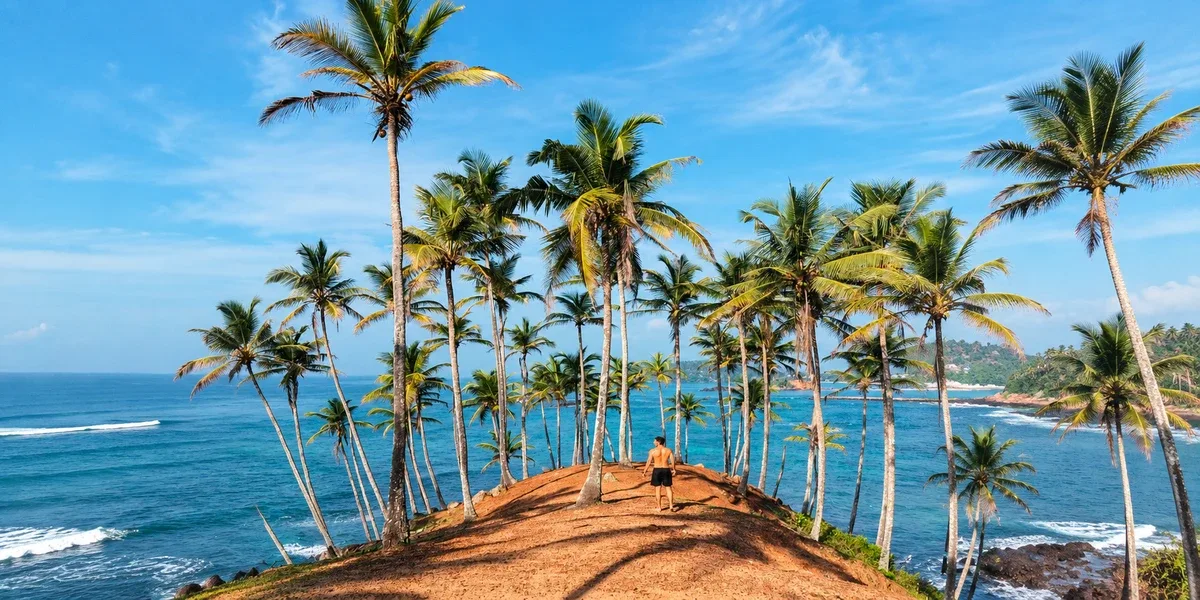 Palm trees overlooking the ocean at Coconut Tree Hill in Mirissa