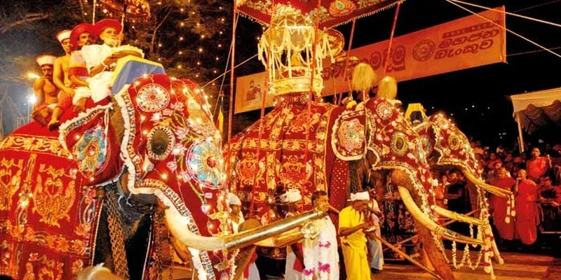 Decorated elephants and participants in a brightly lit Esala Perahera procession